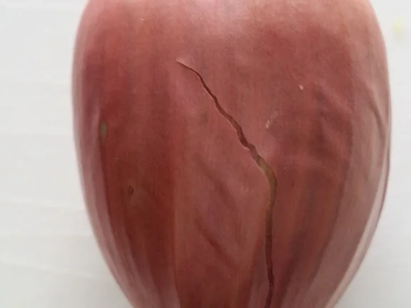 Iberico Karree` das etwas andere Schweinchen à la Biggi - Rezept - Bild Nr. 4