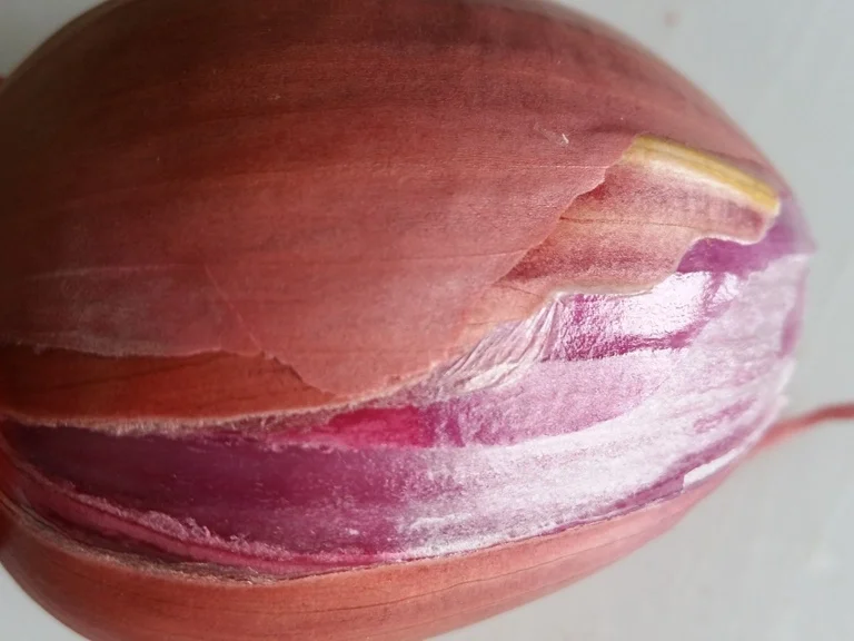 Iberico Karree` das etwas andere Schweinchen à la Biggi - Rezept - Bild Nr. 5