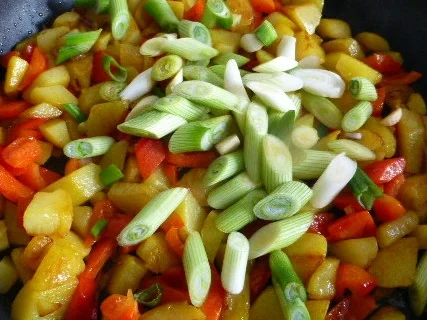 Hähnchen-Involtini mit Paprikageröstl - Rezept - Bild Nr. 9