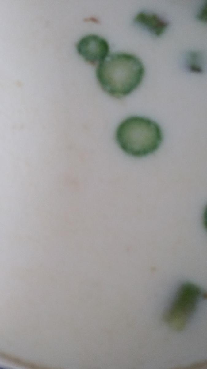 Spargelcremesuppe vom grünen Spargel und Eierlikör - Rezept - Bild Nr. 7