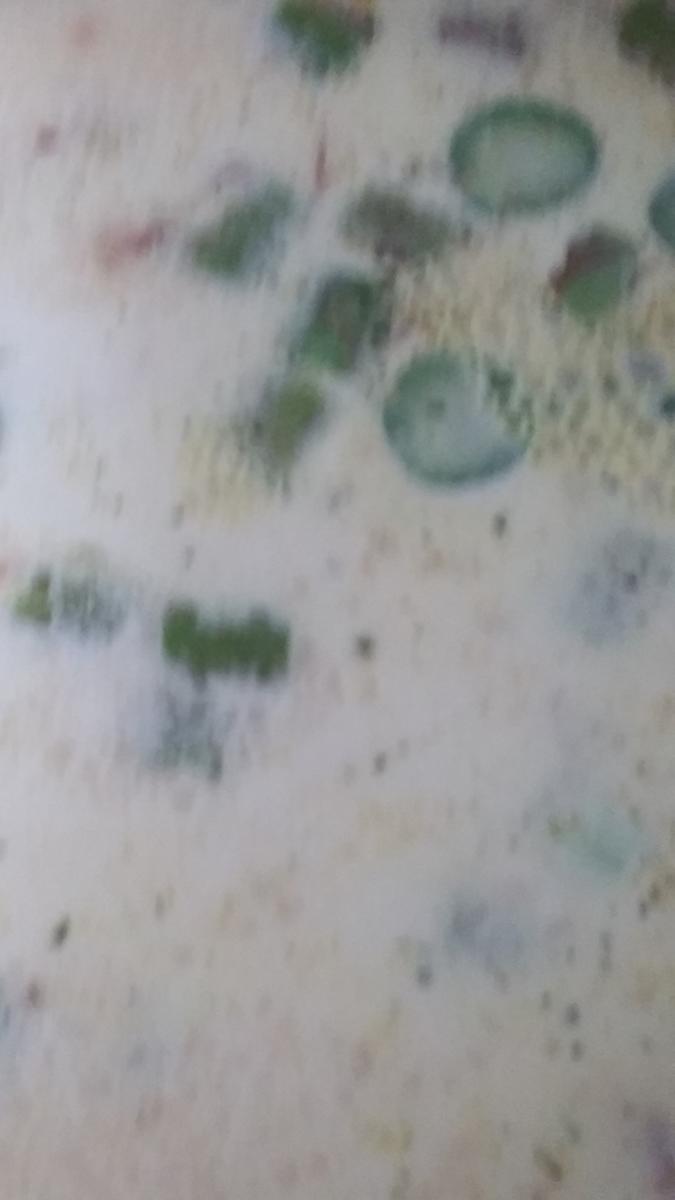 Spargelcremesuppe vom grünen Spargel und Eierlikör - Rezept - Bild Nr. 8
