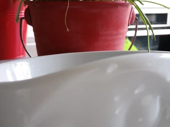 Spargelcremesuppe vom grünen Spargel und Eierlikör - Rezept - Bild Nr. 13