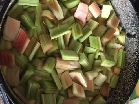 Rhabarberkuchen - Rezept