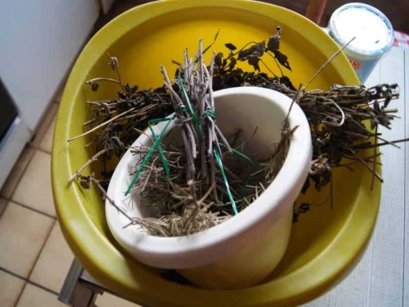 Rezept: 3 Kräuter-Gewürze aus eigenem Garten Bild Nr. 2 3 Kräuter-Gewürze aus eigenem Garten - Rezept - Bild Nr. 2