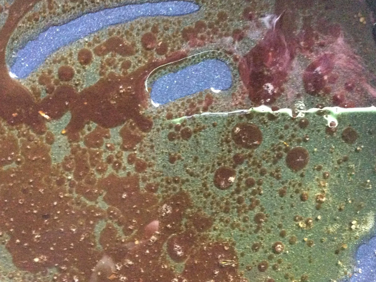 Lammkeulenscheibe auf Salat-Mix - Rezept - Bild Nr. 5