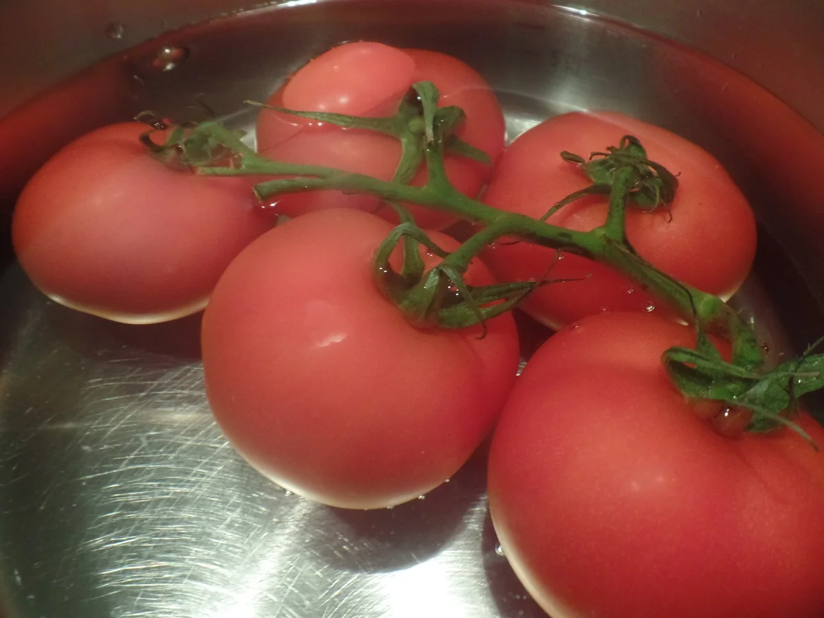 Tintenfischringe in roter Sauce - Rezept - Bild Nr. 3