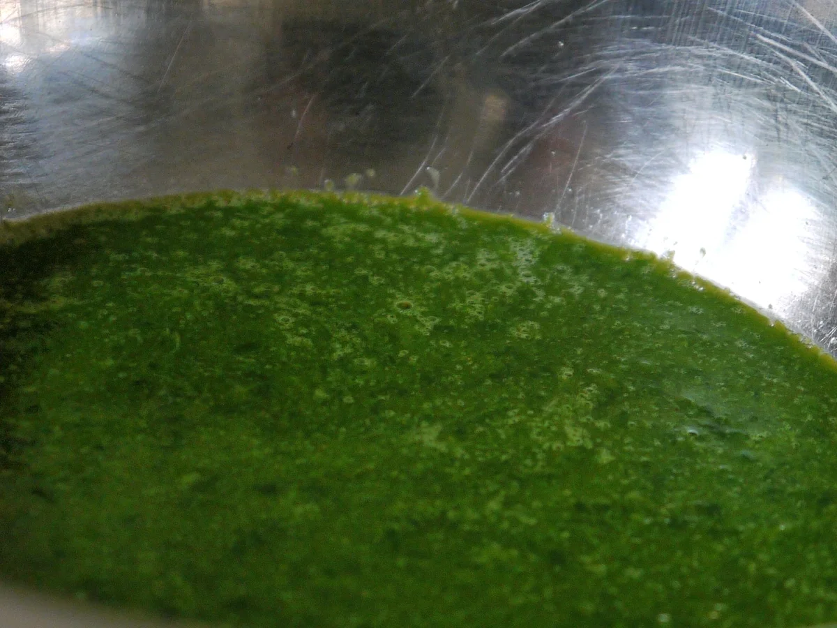 Rezept: Bärlauchrisotto mit Ofentomaten Bild Nr. 5 Bärlauchrisotto mit Ofentomaten - Rezept - Bild Nr. 5