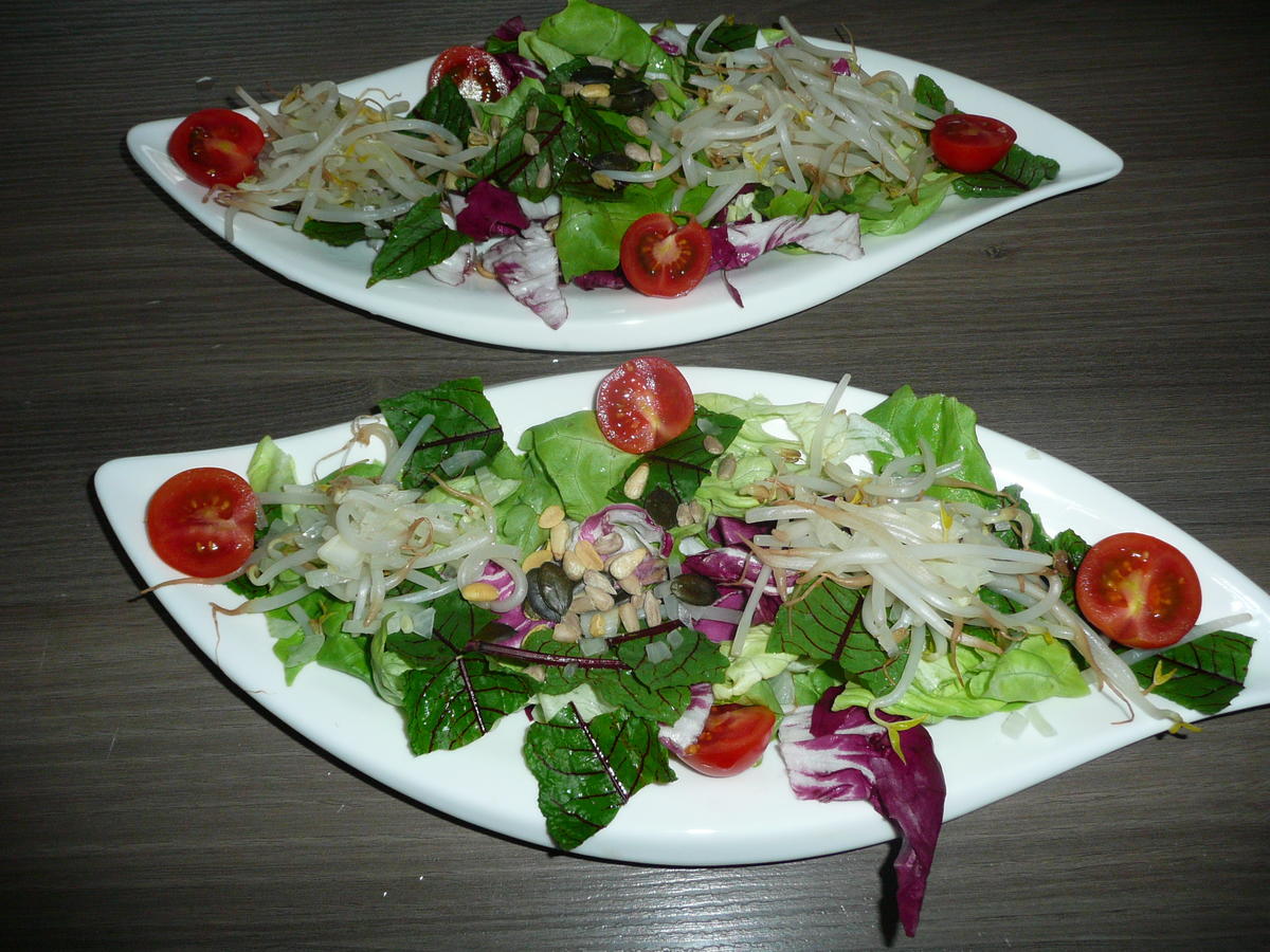 Gemischter Salat mit Sprossen zu Schwenkbraten + Kartoffelbällchen. - Rezept - Bild Nr. 2