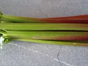 Rezept: Rhabarber Grieskuchen Rhabarber Grieskuchen - Rezept