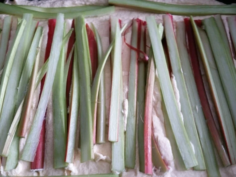 Rhabarber Grieskuchen - Rezept - Bild Nr. 2