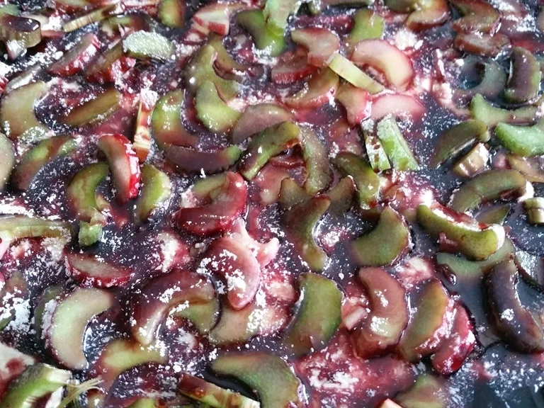 Rhabarber Grieskuchen - Rezept - Bild Nr. 4