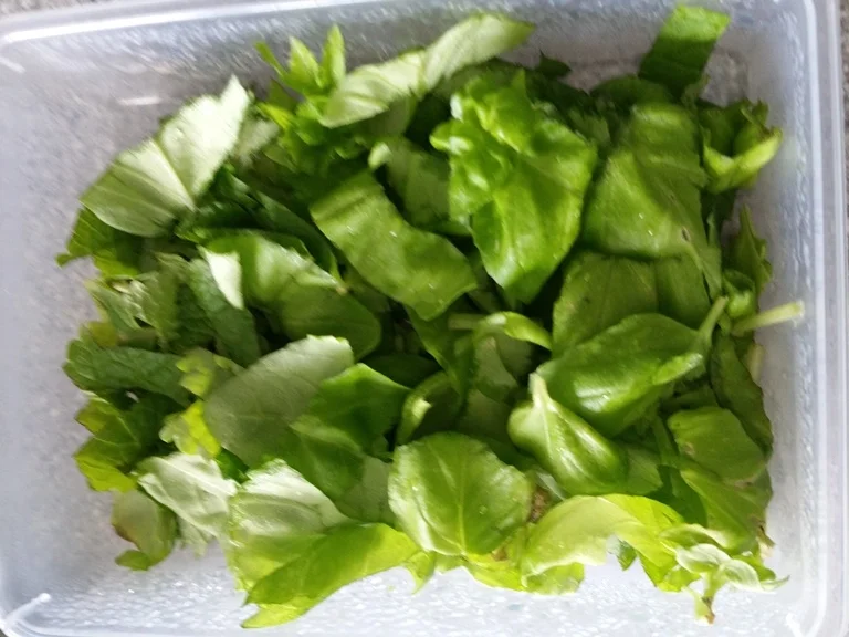 Rezept: Moussaka (oder so ähnlich) Bild Nr. 5 Moussaka (oder so ähnlich) - Rezept - Bild Nr. 5