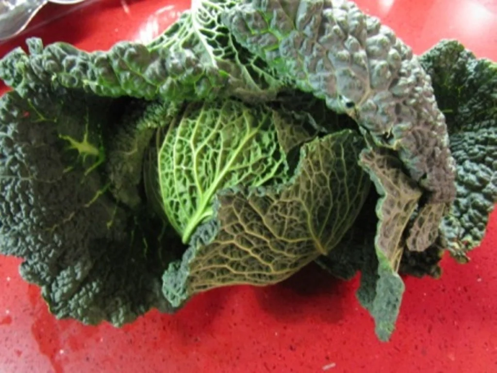 Wirsingeintopf heute mit Bratwurst - Rezept