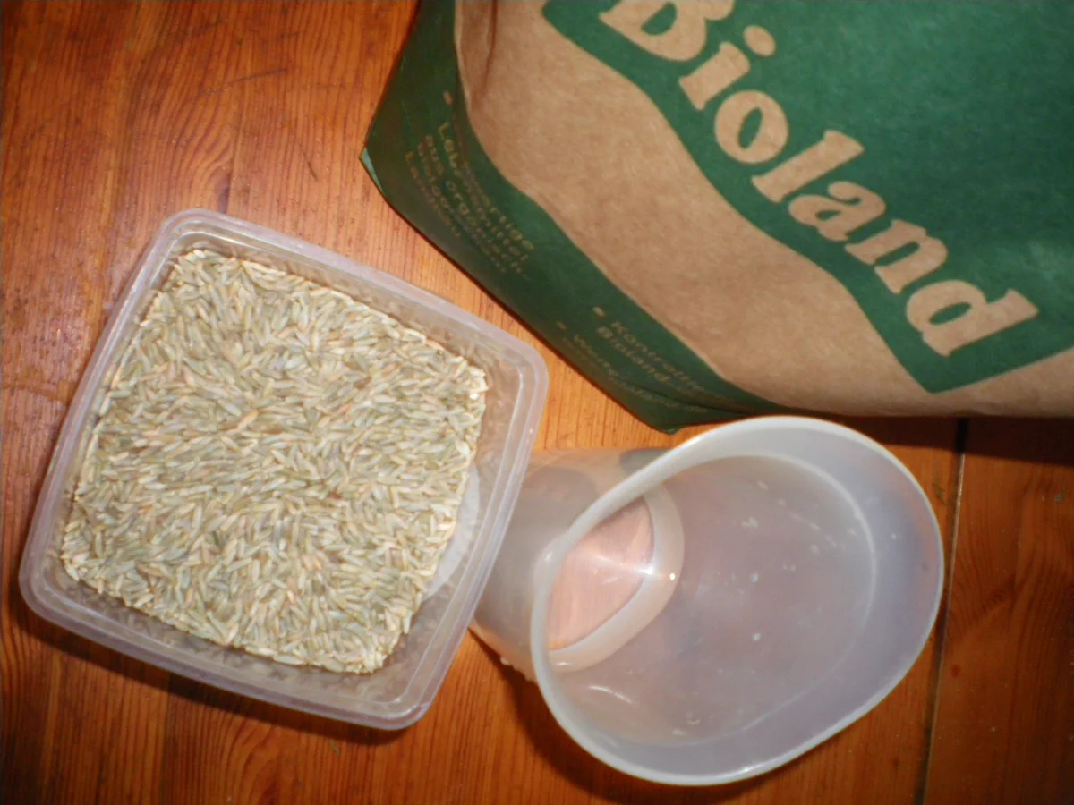  sauerteig chomez - Rezept