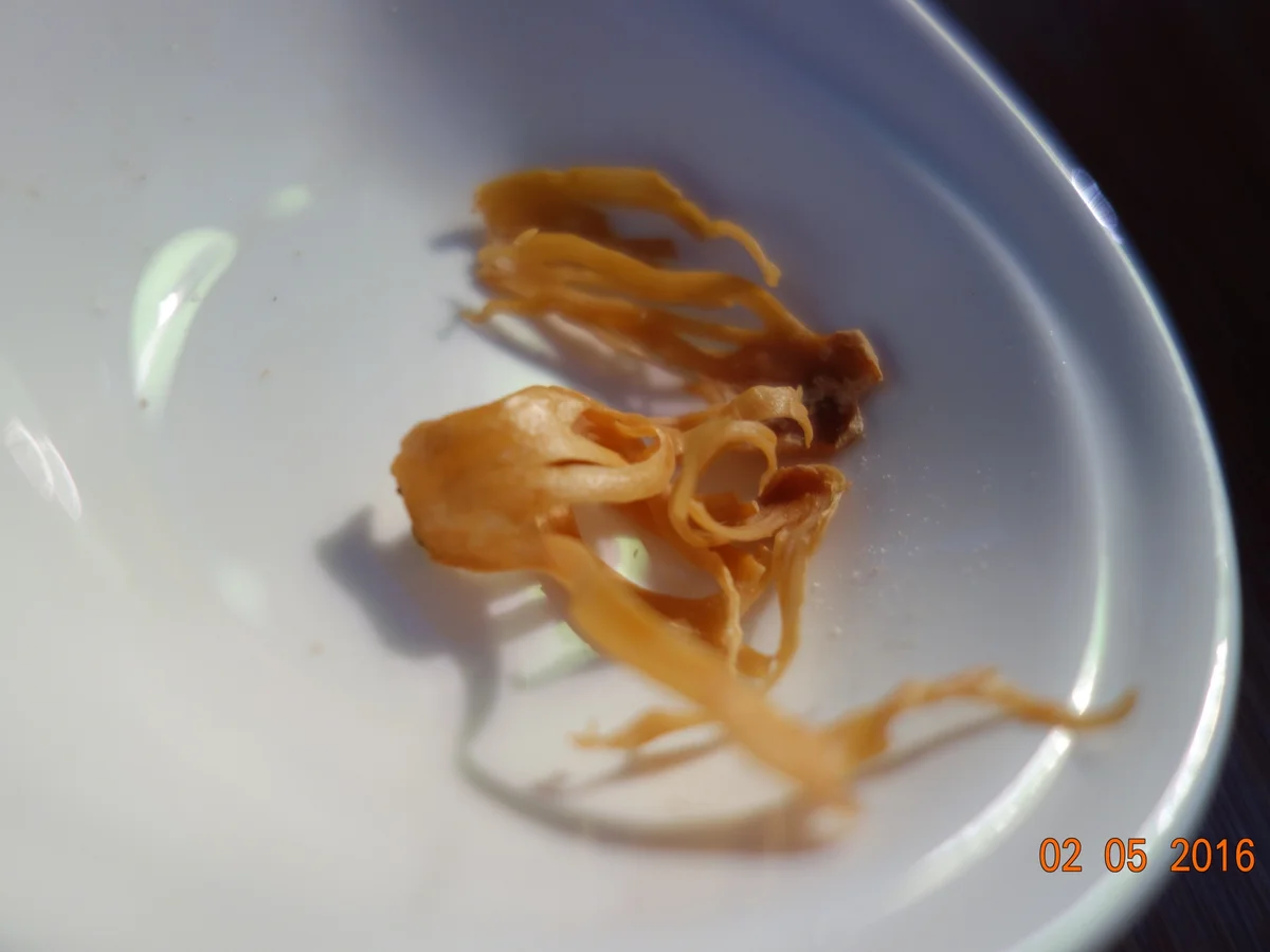 SUPPE:  Ein einfaches Supperl; - Rezept - Bild Nr. 6