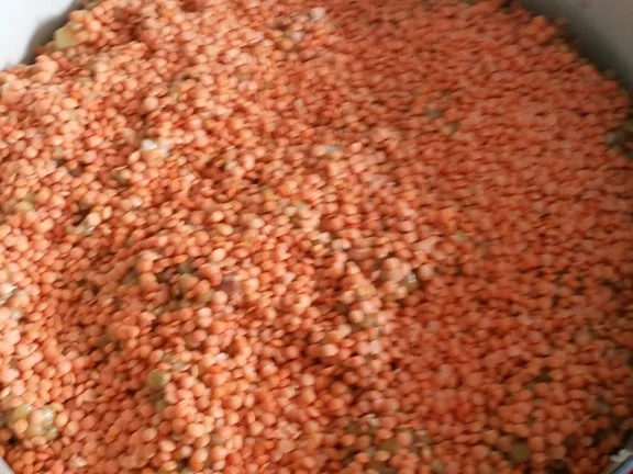 Mein Suppen Kellen Rezept ist eine Linsensuppe - Rezept - Bild Nr. 2