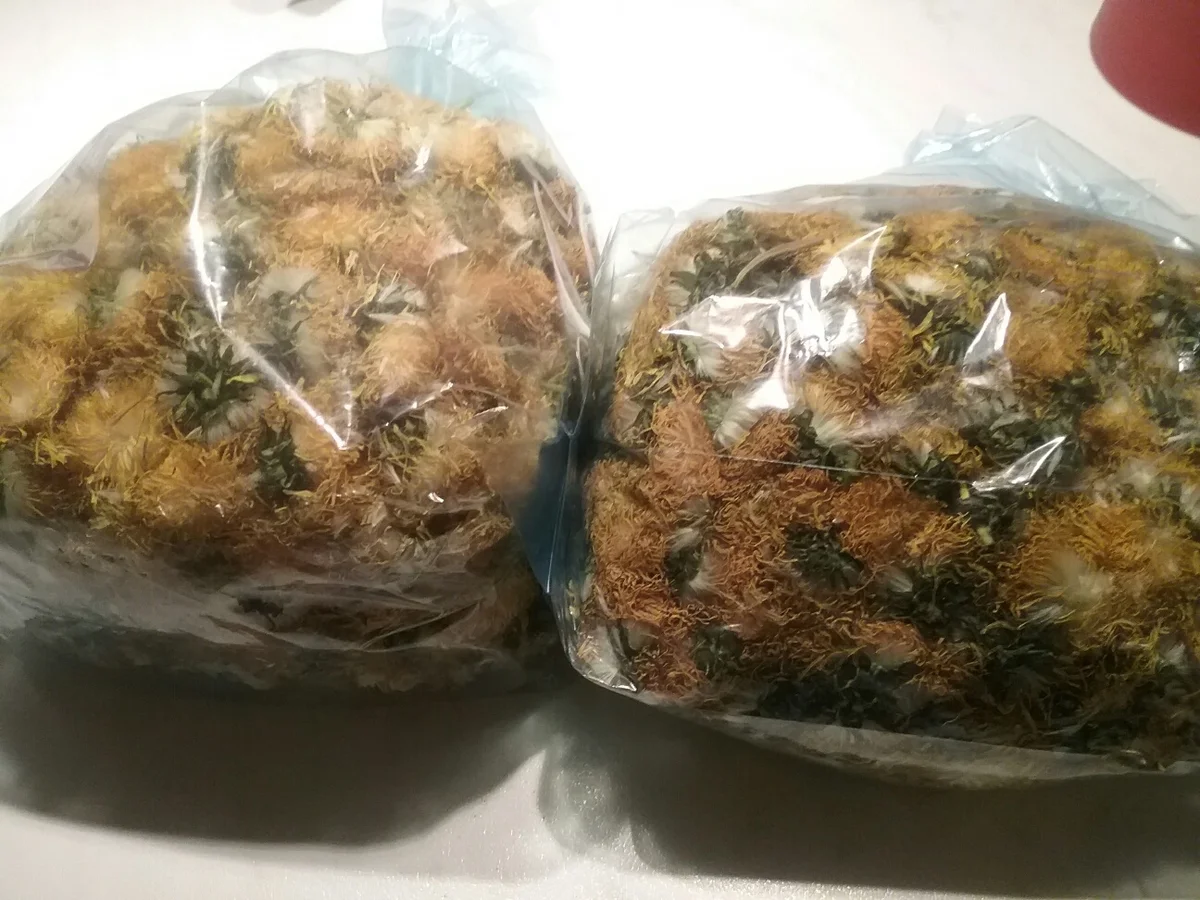 Rezept: Omas Löwenzahnhonig Bild Nr. 5 Omas Löwenzahnhonig - Rezept - Bild Nr. 5