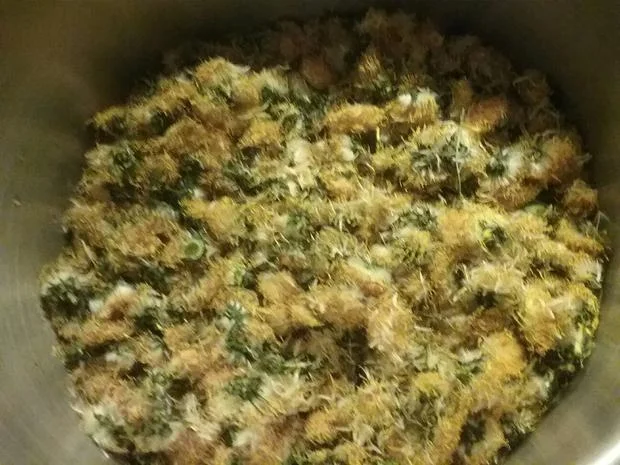 Rezept: Omas Löwenzahnhonig Bild Nr. 6 Omas Löwenzahnhonig - Rezept - Bild Nr. 6