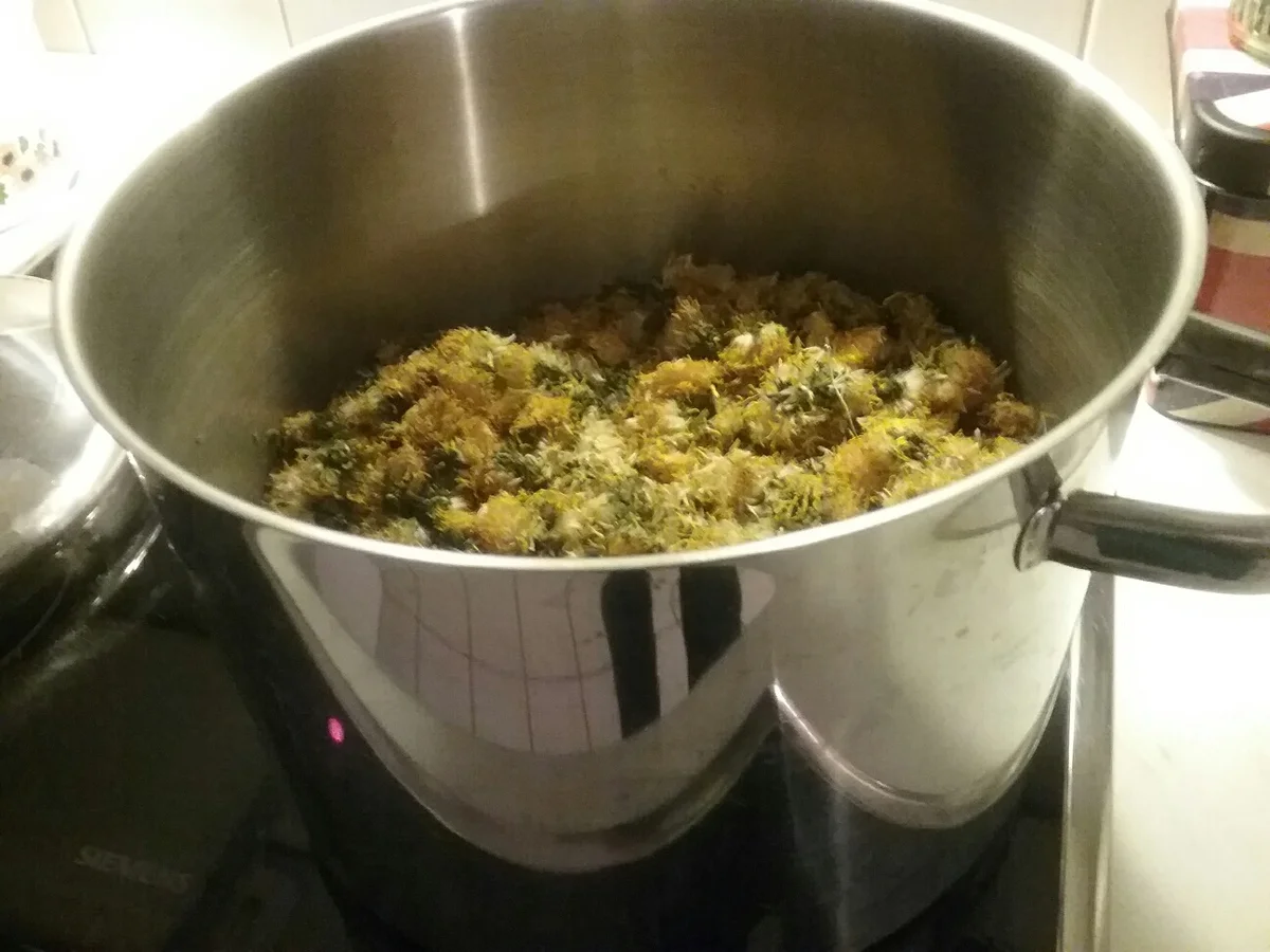 Rezept: Omas Löwenzahnhonig Bild Nr. 7 Omas Löwenzahnhonig - Rezept - Bild Nr. 7