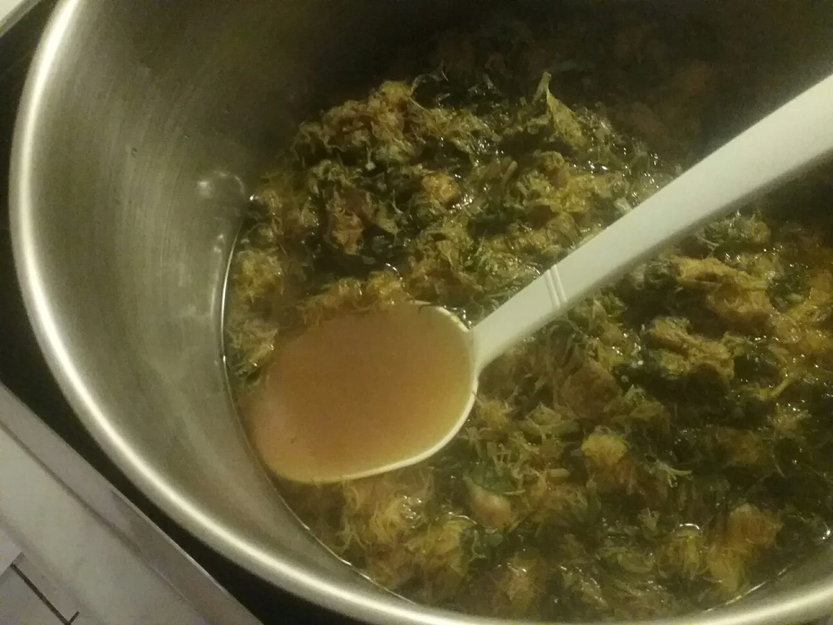 Rezept: Omas Löwenzahnhonig Bild Nr. 9 Omas Löwenzahnhonig - Rezept - Bild Nr. 9