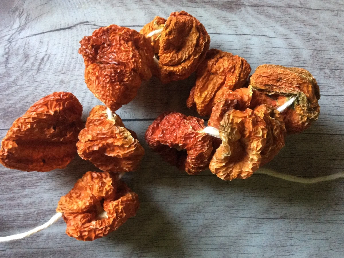 Getrocknete Paprika mit Mozzarella auf Salat - Rezept - Bild Nr. 3