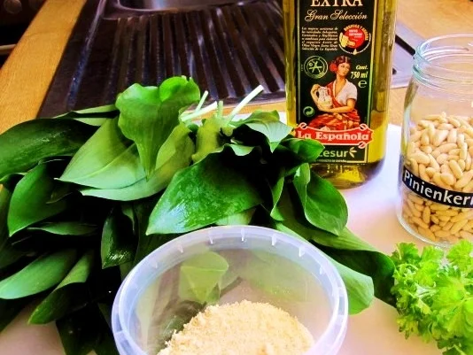 Rezept: Bärlauchpesto 2016 Bärlauchpesto 2016 - Rezept