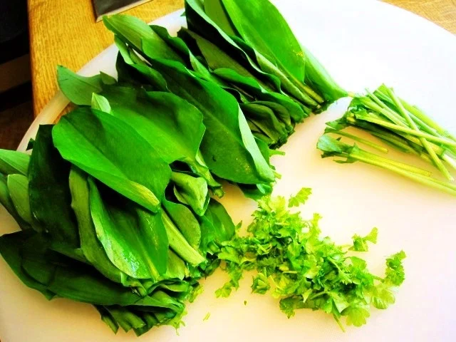 Rezept: Bärlauchpesto 2016 Bild Nr. 2 Bärlauchpesto 2016 - Rezept - Bild Nr. 2