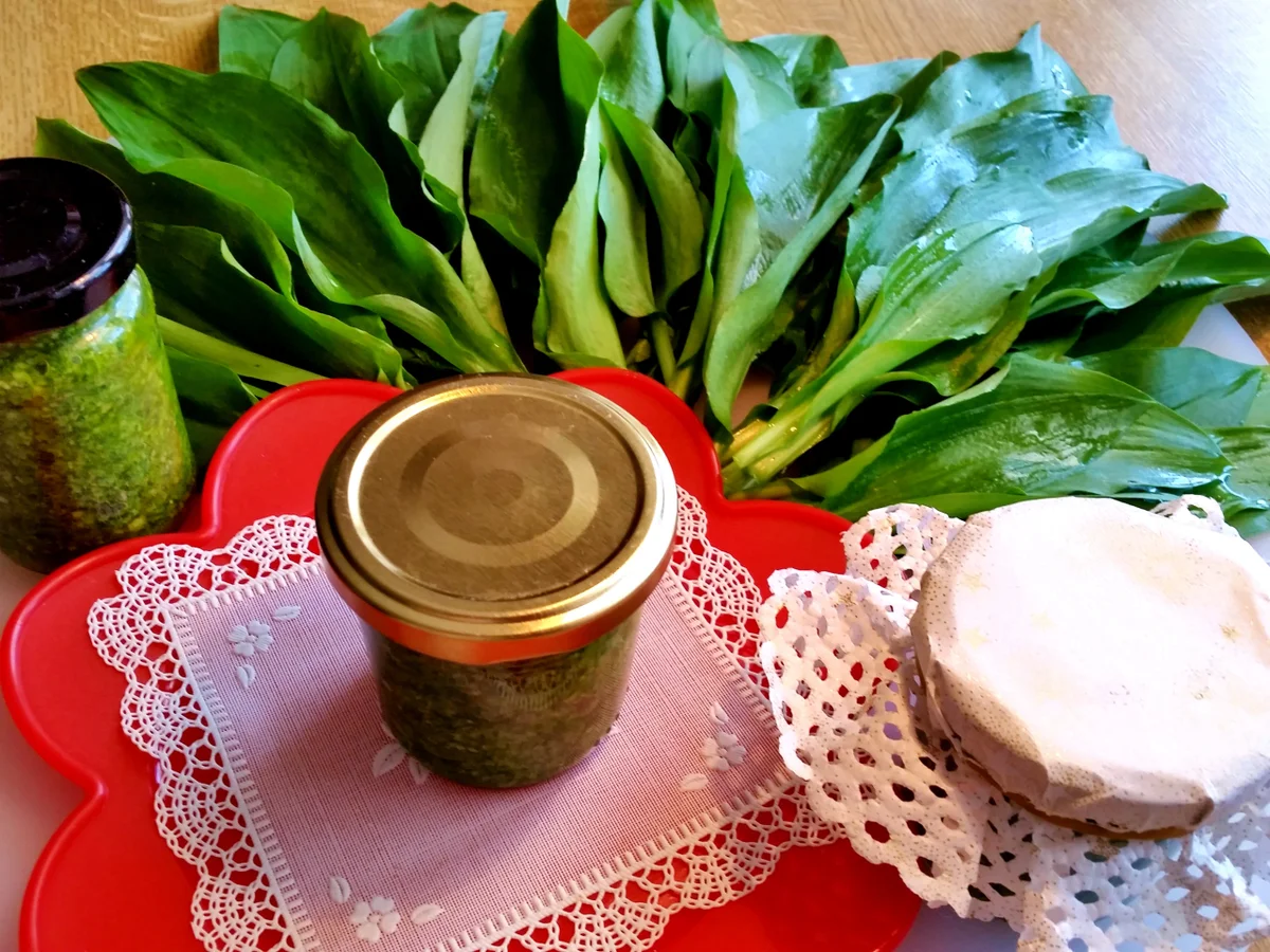 Rezept: Bärlauchpesto 2016 Bild Nr. 3 Bärlauchpesto 2016 - Rezept - Bild Nr. 3