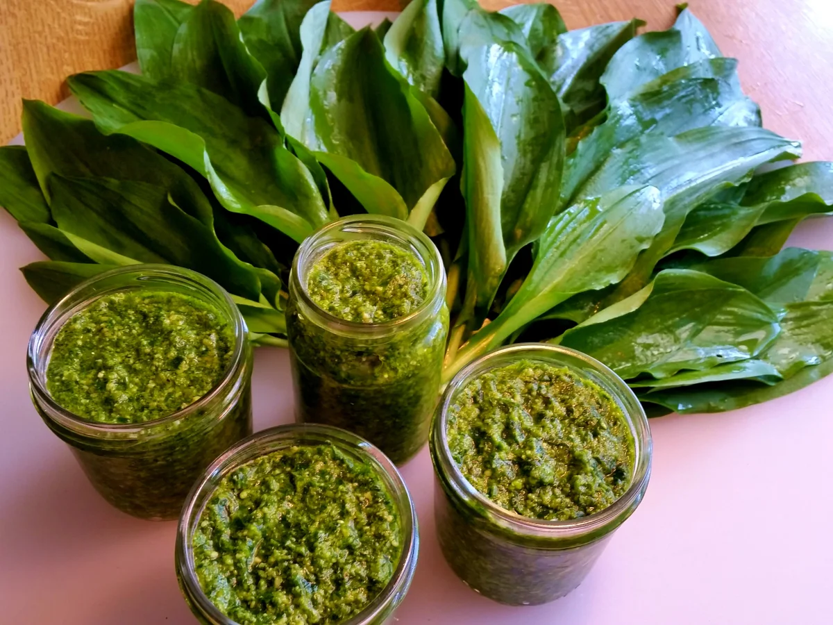 Rezept: Bärlauchpesto 2016 Bild Nr. 5 Bärlauchpesto 2016 - Rezept - Bild Nr. 5