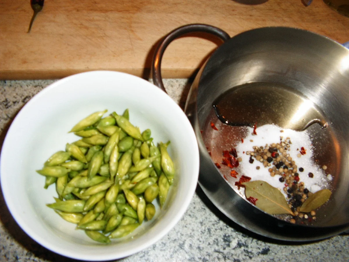 Bärlauchknospen eingelegt - Rezept - Bild Nr. 4