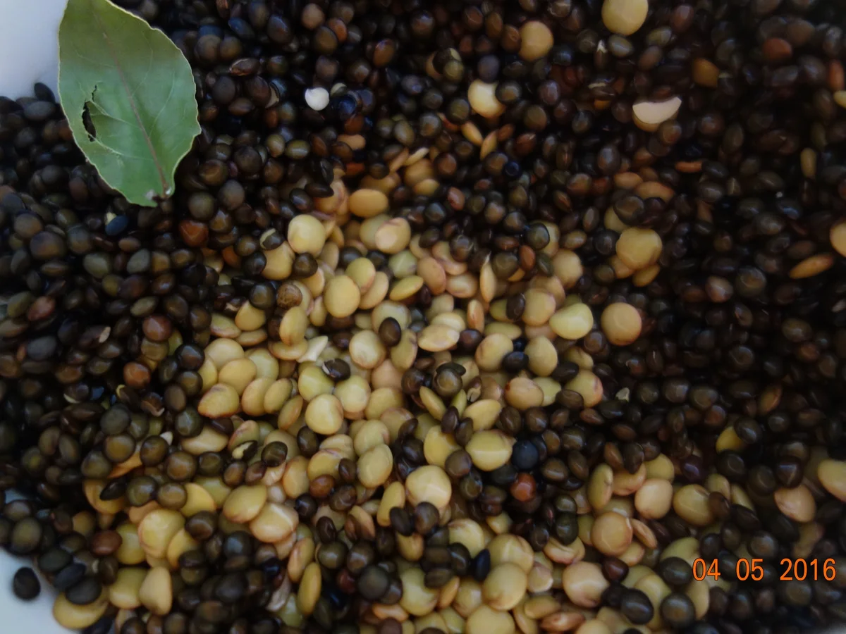 Eintopf:  Ein wild Durcheinander-Eintopf; - Rezept - Bild Nr. 2