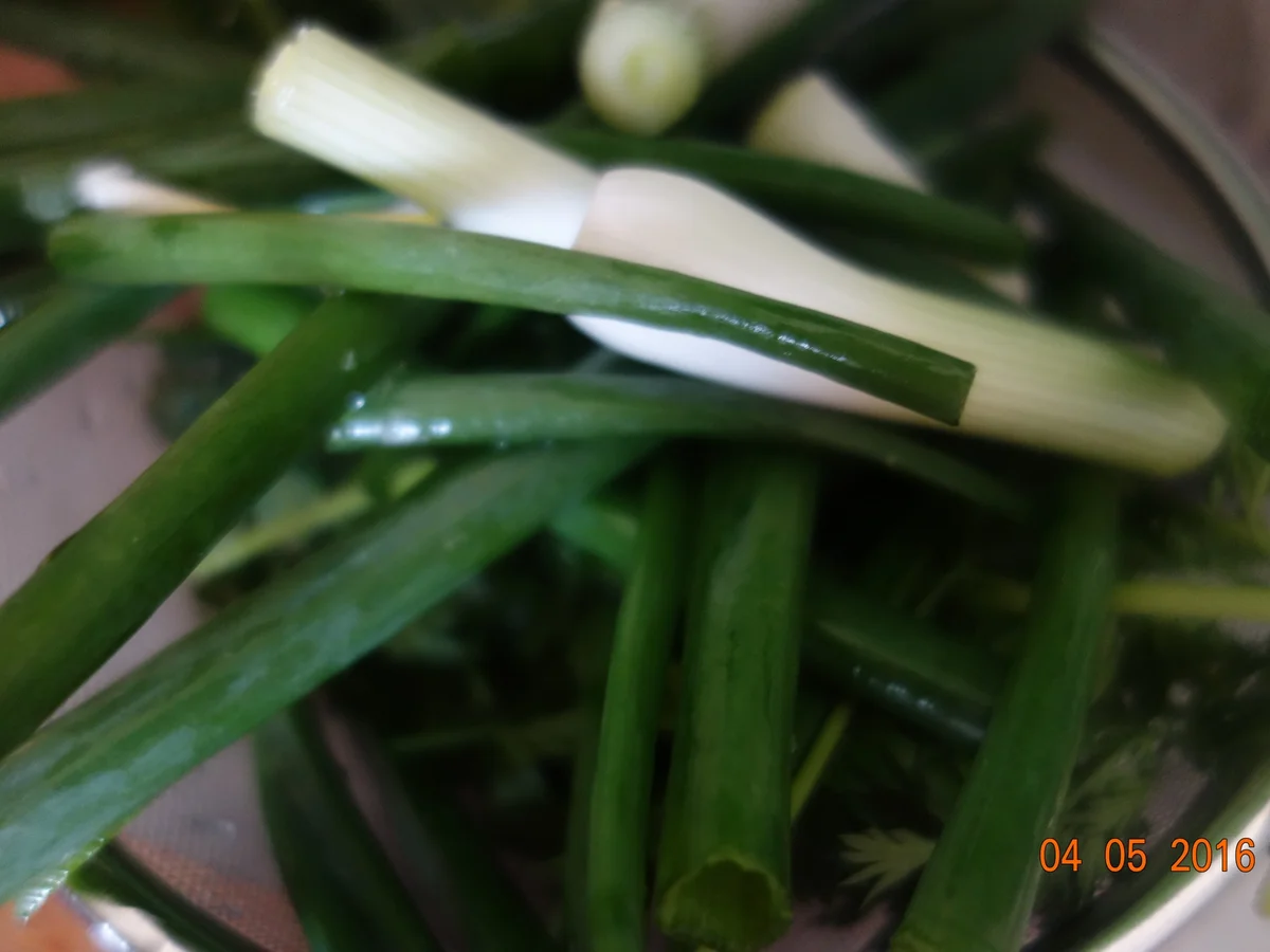 Eintopf:  Ein wild Durcheinander-Eintopf; - Rezept - Bild Nr. 5