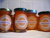 Konfitüre & Co: Löwenzahnhonig - Rezept