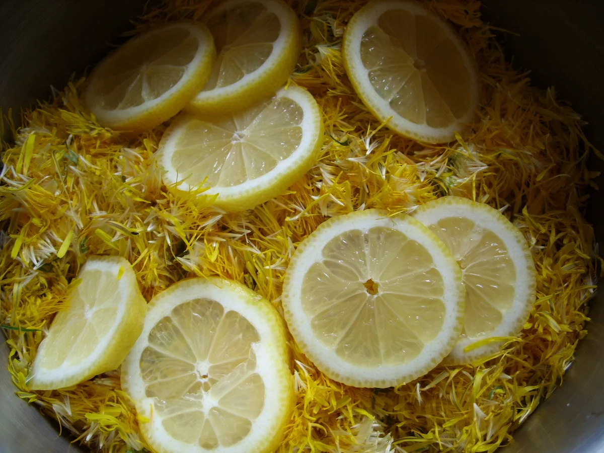 Konfitüre & Co: Löwenzahnhonig - Rezept - Bild Nr. 3