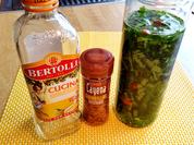 Bärlauchöl - selbst angesetzt - Rezept
