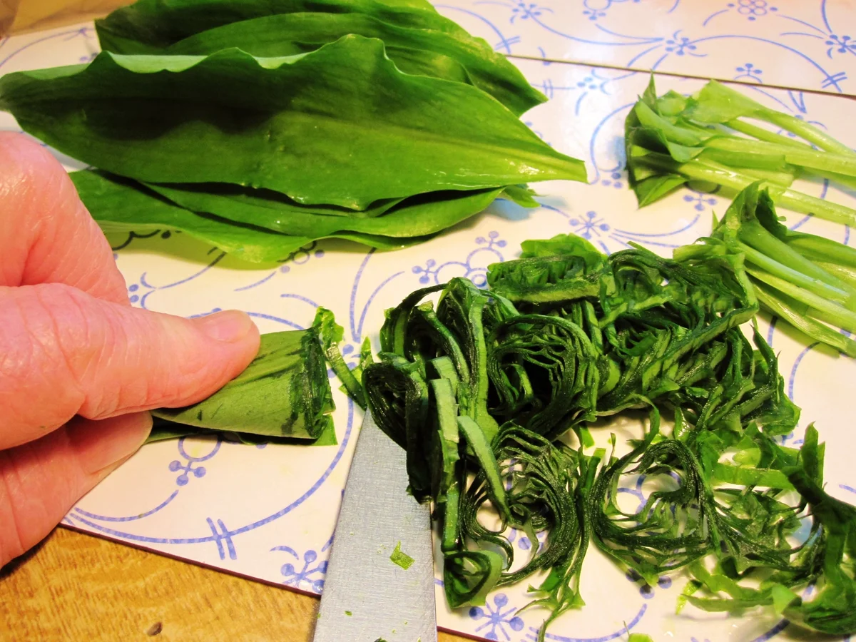 Bärlauchöl - selbst angesetzt - Rezept - Bild Nr. 4