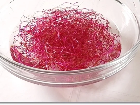 Rezept: Frühlingssalat - der ultimative Rausch der Farben und des Gaumens Bild Nr. 4 Frühlingssalat - der ultimative Rausch der Farben und des Gaumens - Rezept - Bild Nr. 4