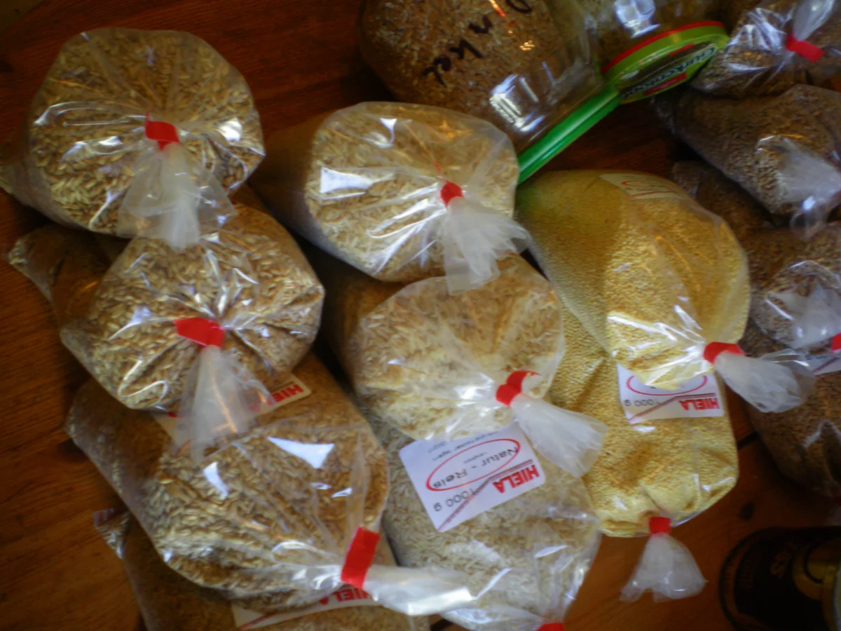 6-Korn Mischung - Rezept