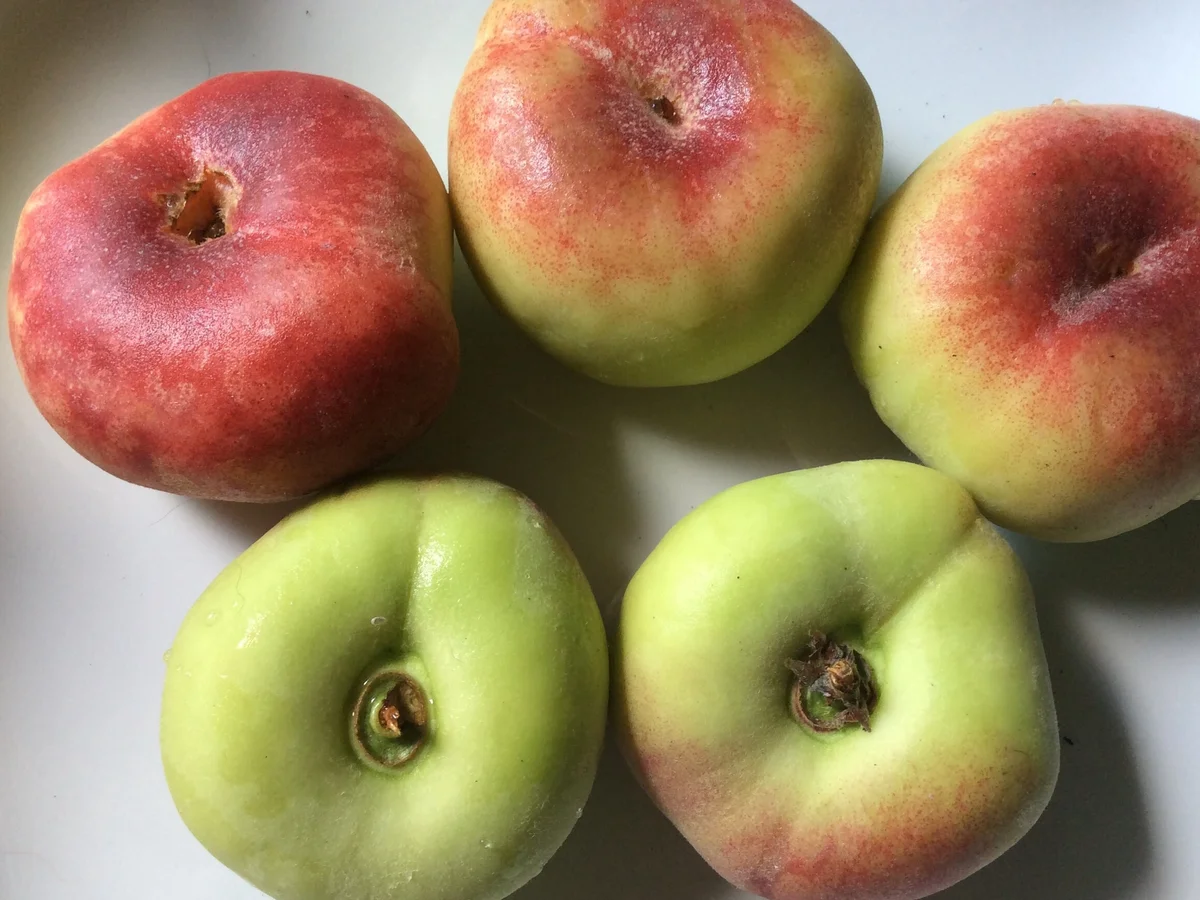 Caprese mit Pfirsich - Rezept - Bild Nr. 4