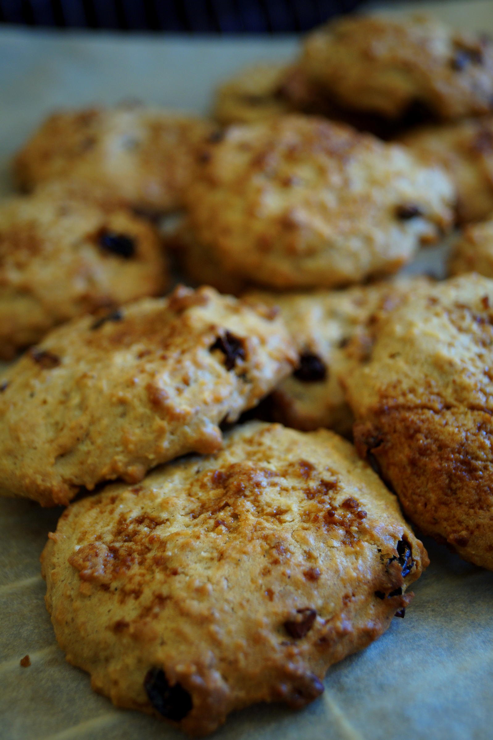Gesunde zuckerarme Cookies mit Kakao Nibs - Rezept Von Einsendungen
Sri_Devi