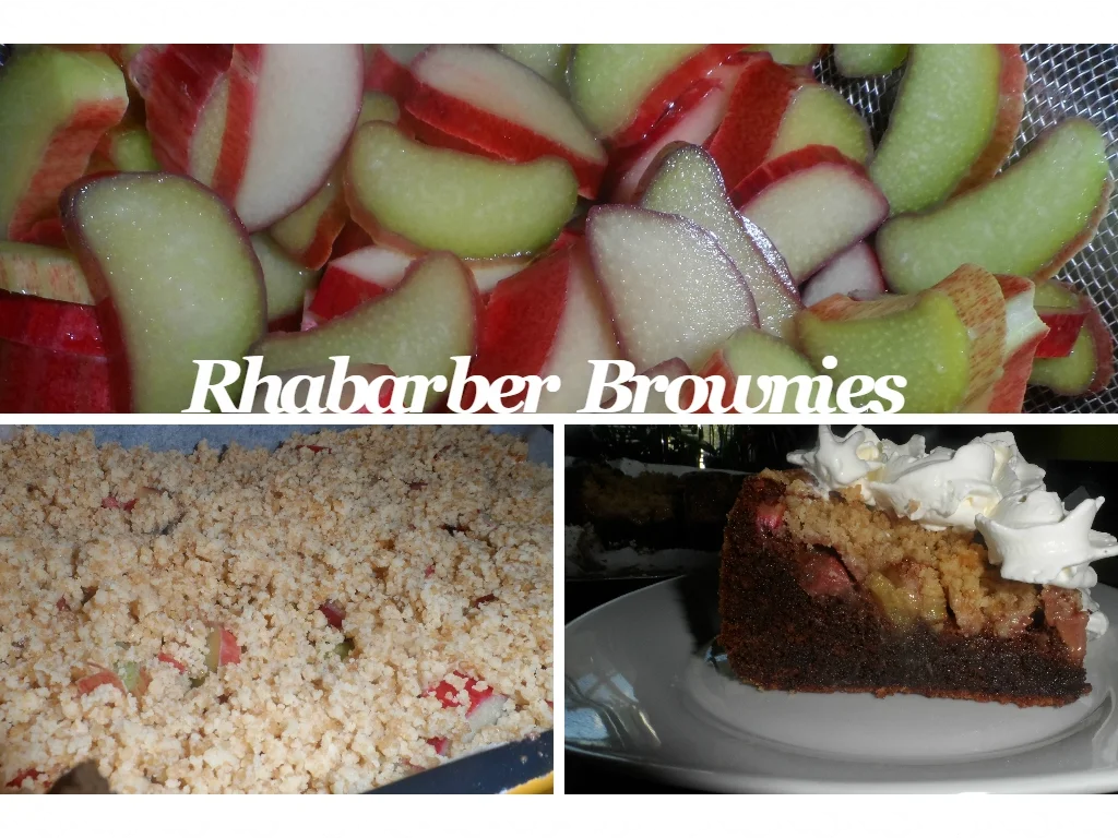 BiNe` S RHABARBER BROWNIES - Rezept - Bild Nr. 2