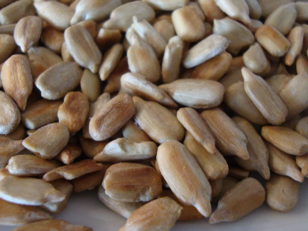 Kartoffel-Frischkäsecreme Süppchen - Rezept - Bild Nr. 7