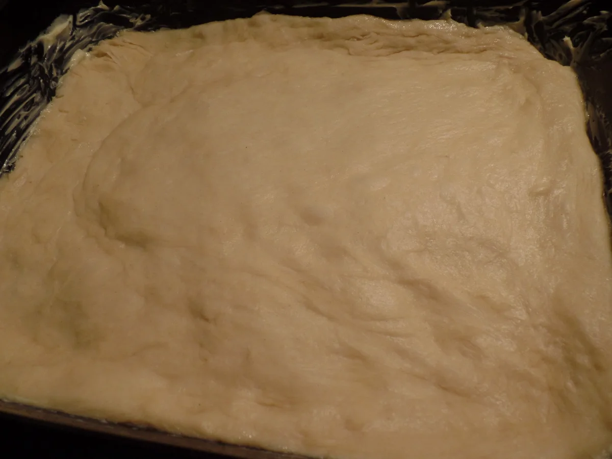 Aprikosendatschi - Rezept - Bild Nr. 9