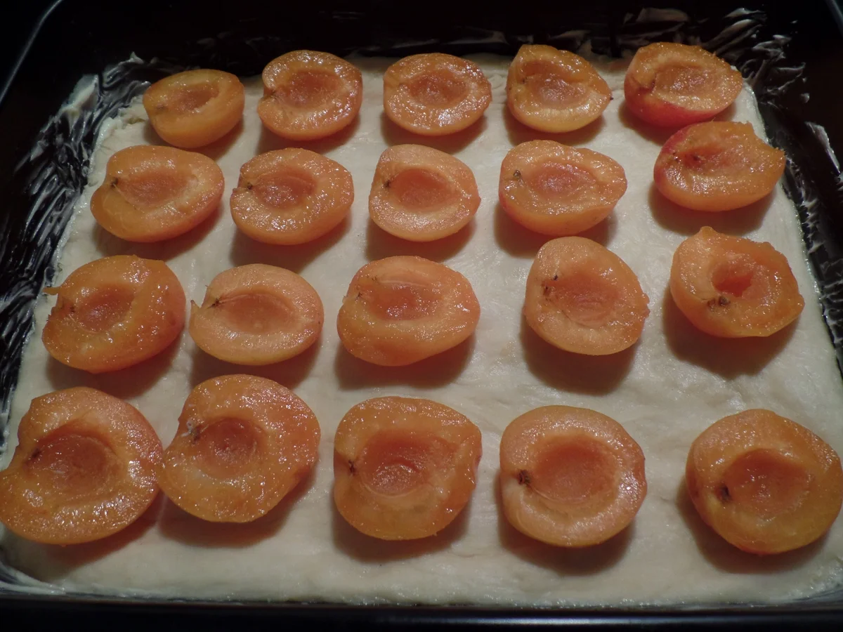 Aprikosendatschi - Rezept - Bild Nr. 10