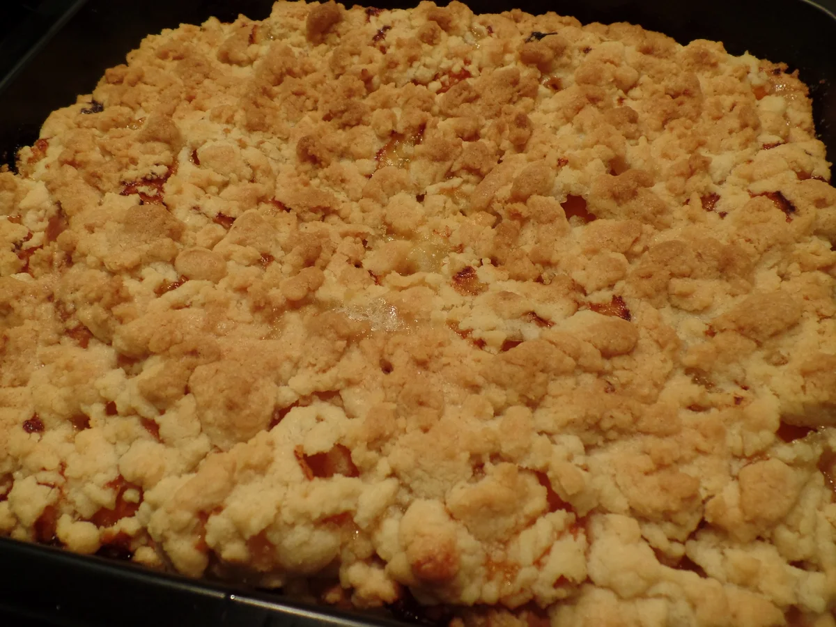 Aprikosendatschi - Rezept - Bild Nr. 12