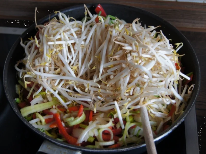 Frühlingsrollen ohne und mit Fleisch - Rezept - Bild Nr. 9