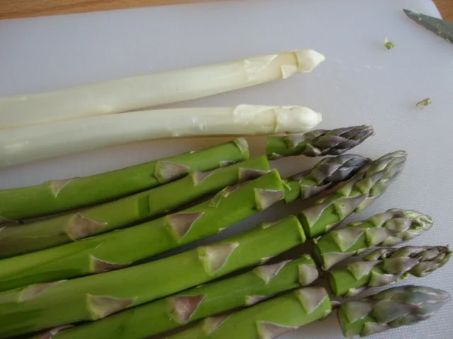 Rezept: Spargelsüppchen mit einer Einlage aus Käsenocken Bild Nr. 6 Spargelsüppchen mit einer Einlage aus Käsenocken - Rezept - Bild Nr. 6