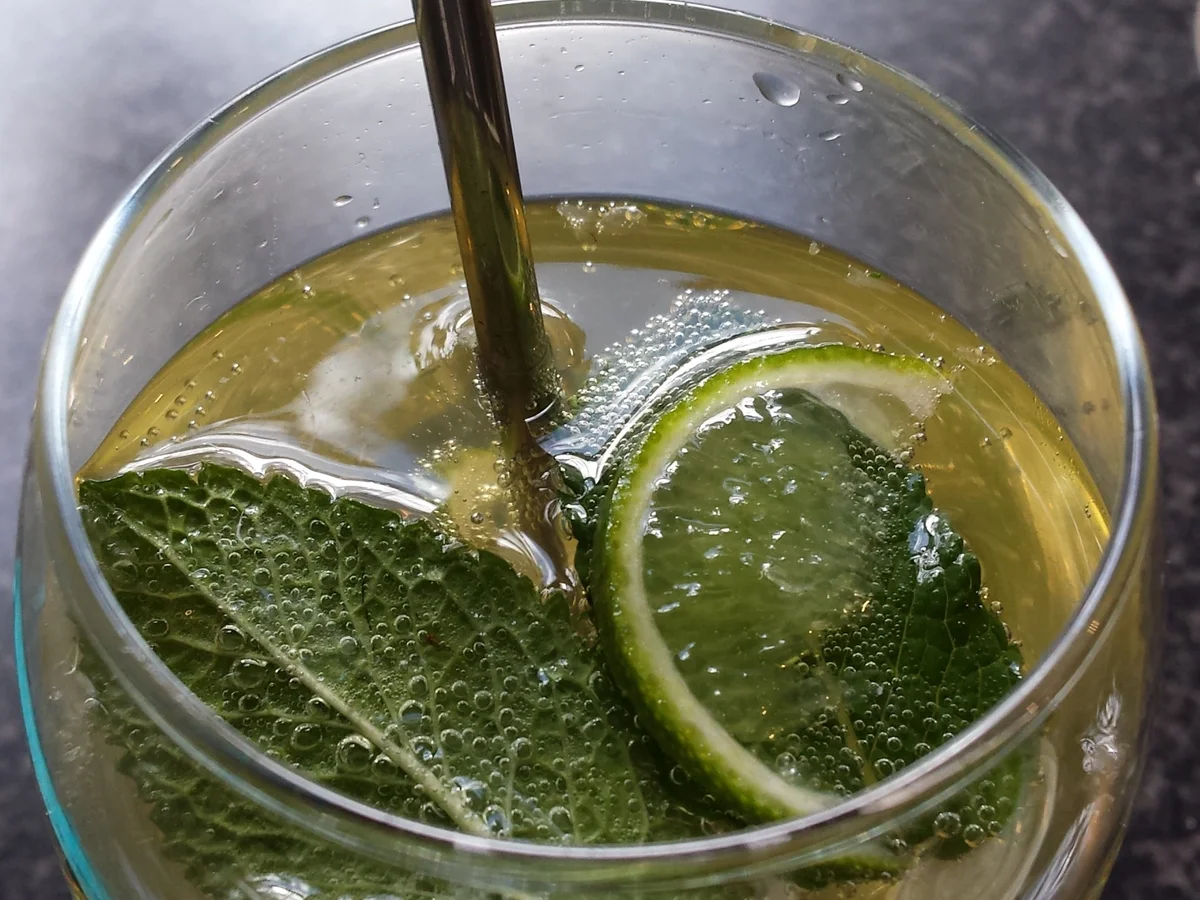 Erfrischung - super schnell... - Rezept - Bild Nr. 14