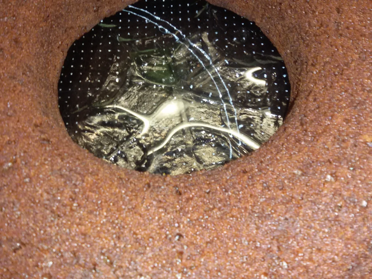 Schoko - Orangen - Kuchen - Rezept - Bild Nr. 3