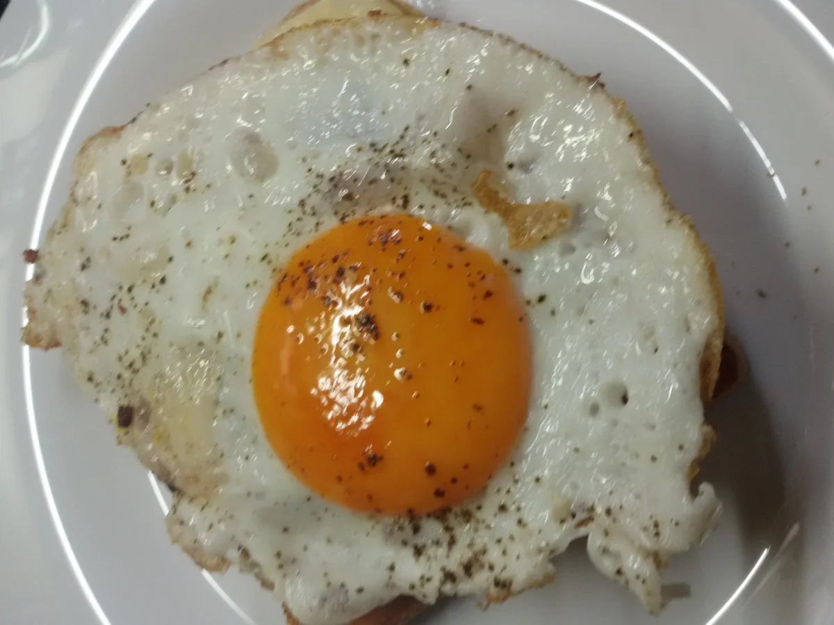 Toast mit Spiegelei  - Rezept - Bild Nr. 5